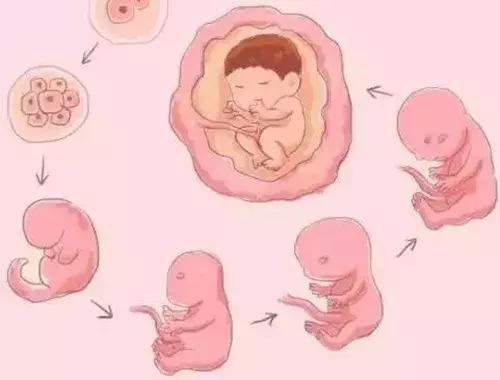 和孩子谈性教育的正确方法,家长性教育要趁早