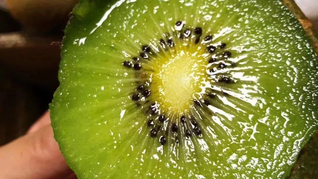你可能没吃到过好吃的猕猴桃,再也没吃过整个的猕猴桃