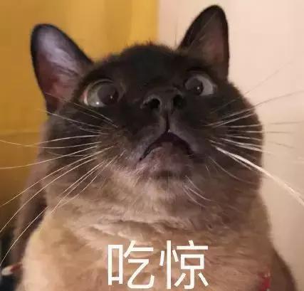 暹罗怎么不变白,暹罗变黑变不回来怎么办