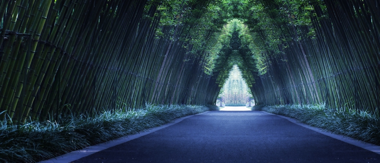 与蕴初园为邻，金沙城“西府系”墅居作品雏形初现