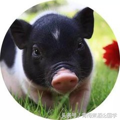 十二生肖吉祥取名法大全,十二生肖吉祥取名法大全表