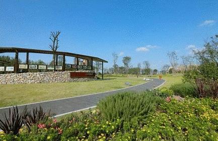 金牛区未来100个项目,金牛互助片区项目