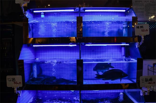 小懂带你吃遍天下丨测评之“鱼乐圈”