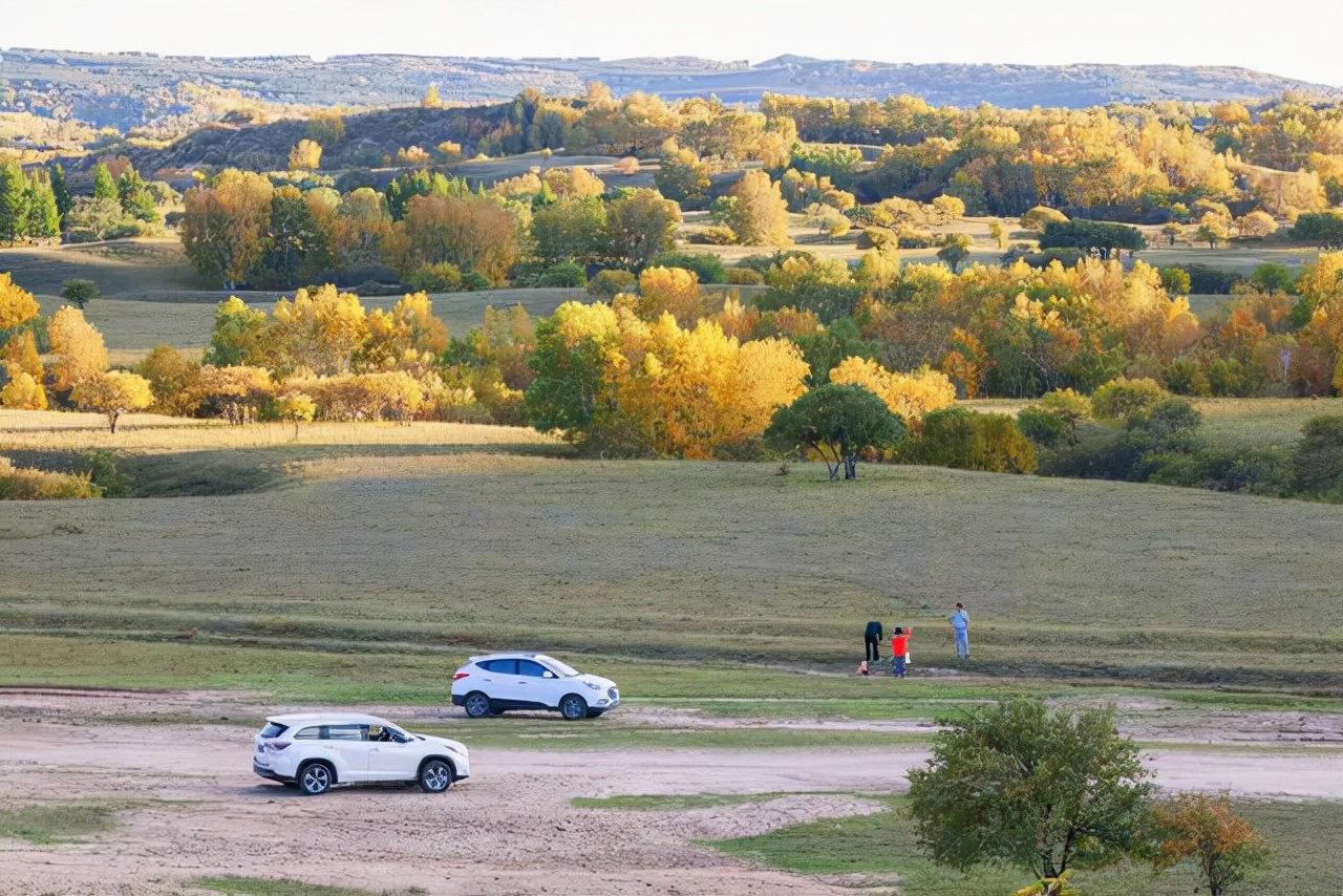 拼车自驾游费用怎么分配合理,拼车自驾游如何分担车费