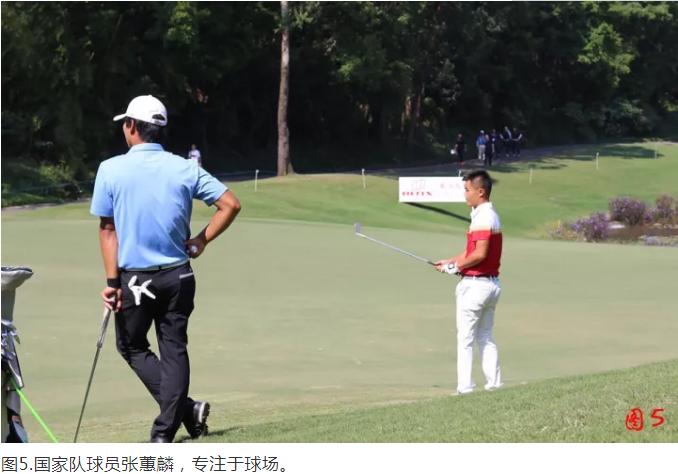 回顾2017赛场内外，期待2018佛山公开赛耀世登场