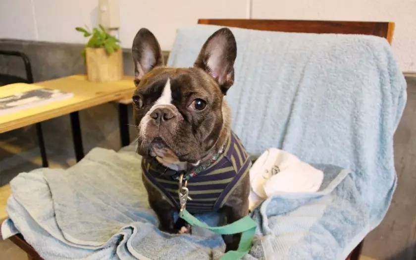 日本住哪里的民宿最方便便宜,几百块入住日本温馨民宿超划算