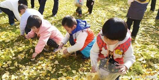 上海市幼托机构,上海幼儿园私立和公立学校哪个好