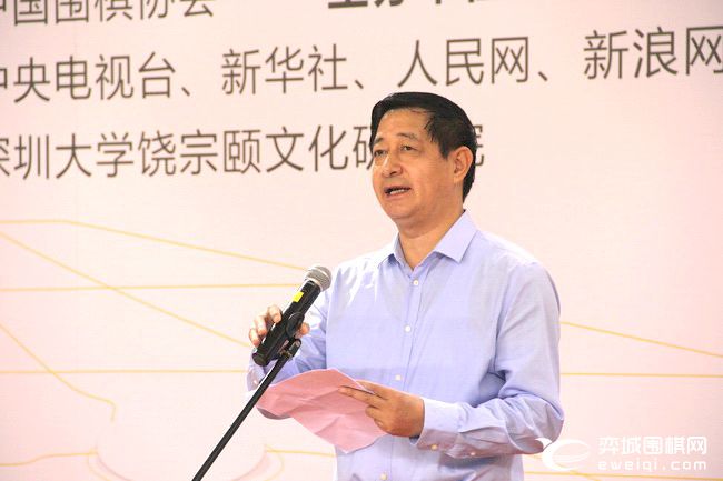 大湾区青少年围棋大赛,粤港澳大湾区围棋联赛