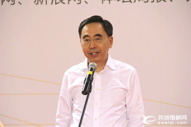 大湾区青少年围棋大赛,粤港澳大湾区围棋联赛