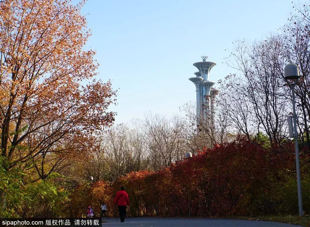 北京这些经典赏红叶地方景美路又顺！