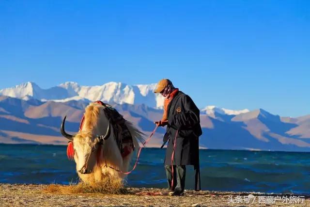 拉萨林芝旅游攻略最新四天三夜,拉萨旅游攻略超详细