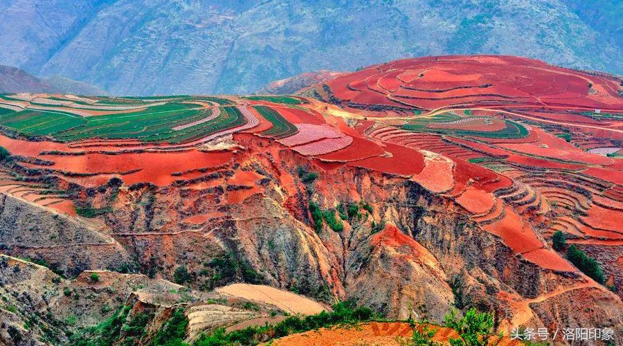洛阳机场客流,2019年洛阳机场客流