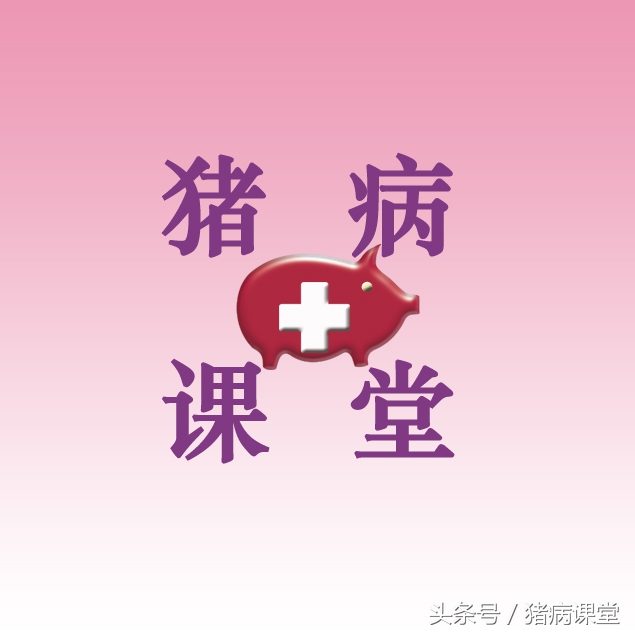 猪育种方法和技术,猪繁育技术有哪几种