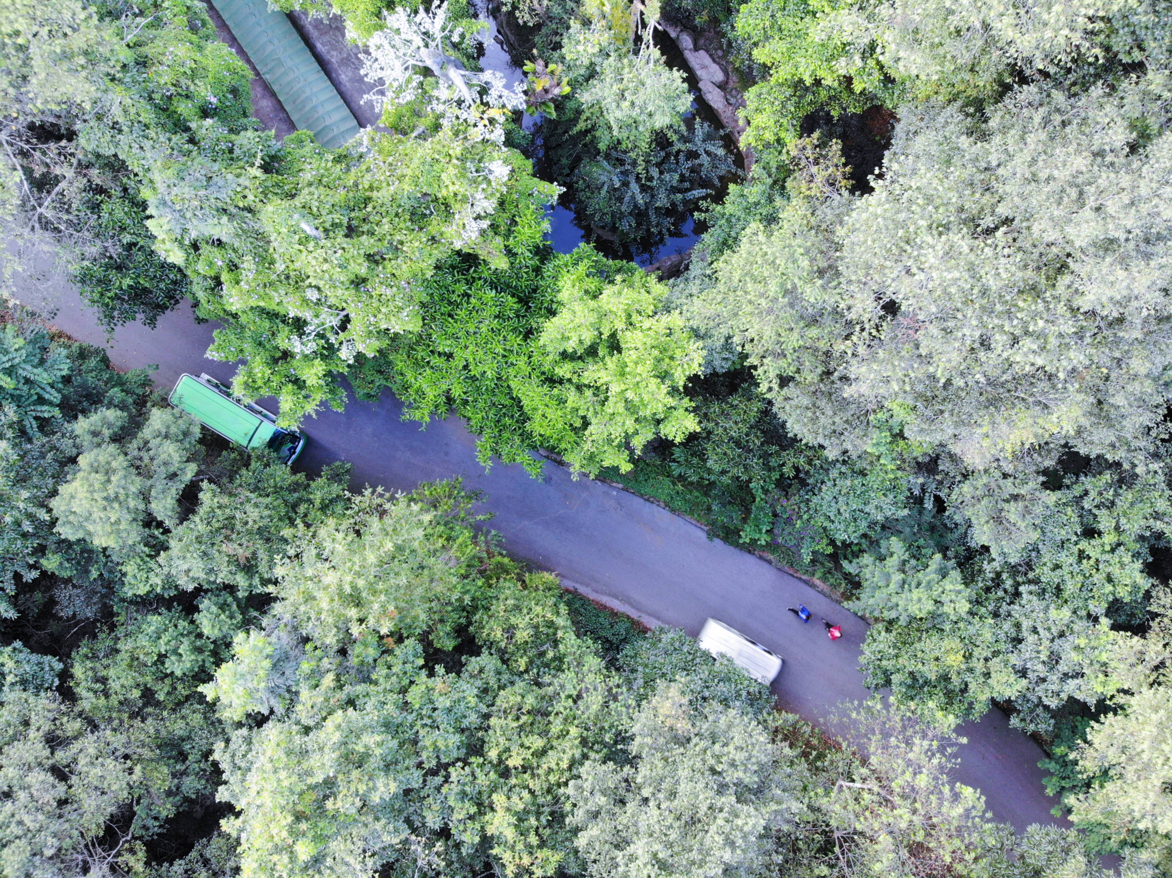 光唱歌就能给村里分红,曾祭人头的神秘佤族,走进你不知道的云南