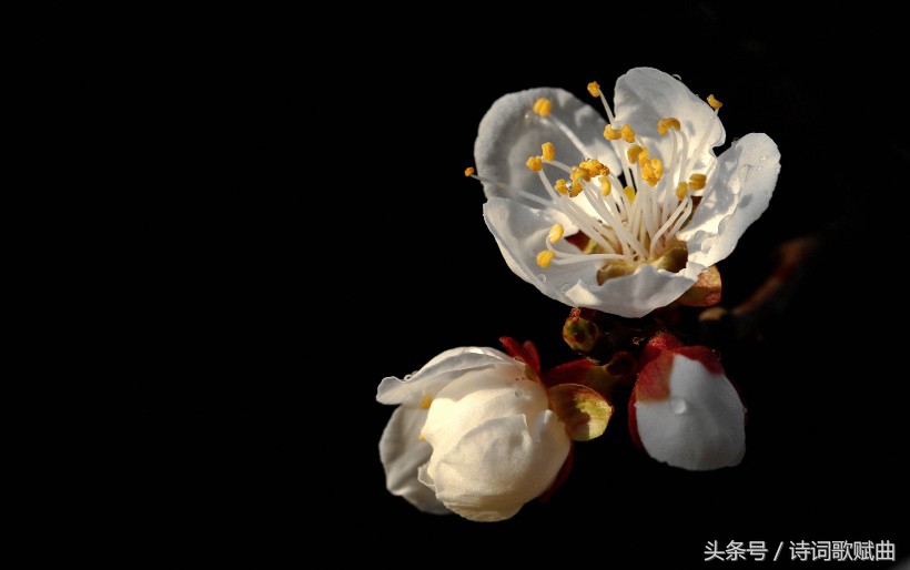 南怀瑾一切修行皆在修心,南怀瑾人生哲理经典语录