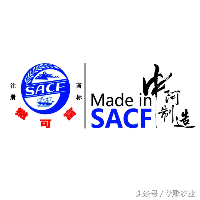 2021年度中国磷复肥企业排名,全国磷复肥前十强