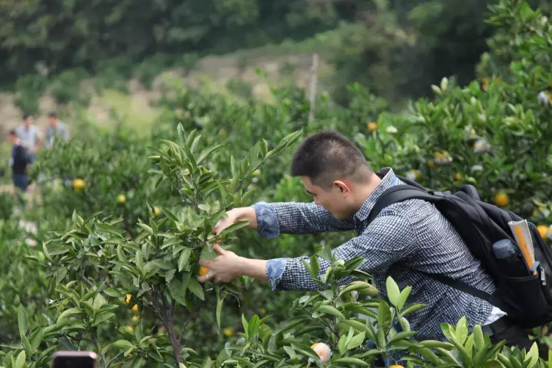 这一口甜蜜，让几百个三明人恋爱了