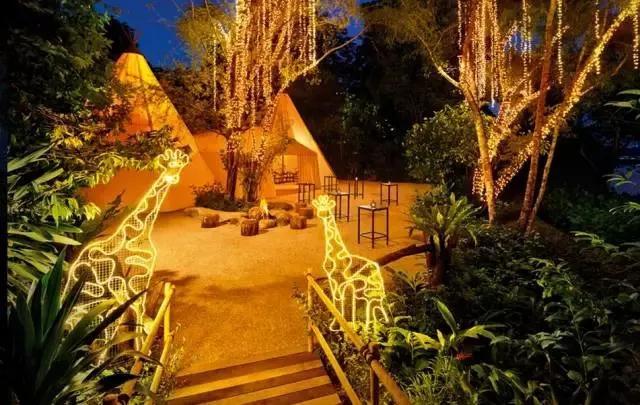 夜间动物园新加坡,新加坡夜间动物园暮光表演