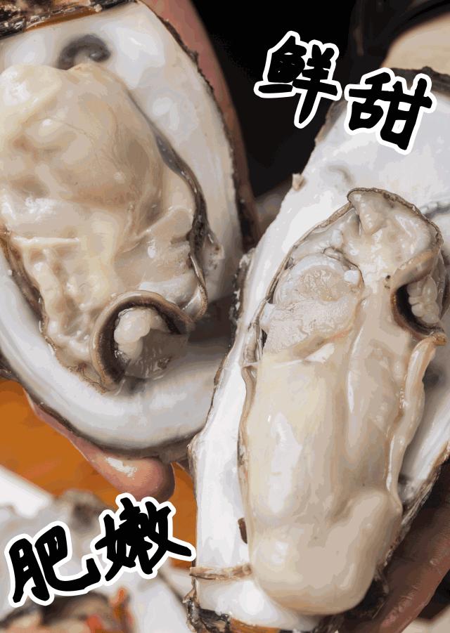 蚝皇爆汁,爆汁蚝皇多少钱一只