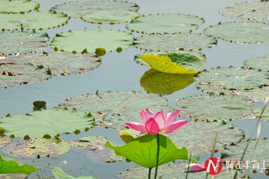 太湖三山岛风景区攻略,江浙沪两到三天亲子旅游景点推荐