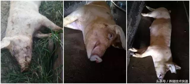 注意当前这几种病进入高发期,当心近期这几类疾病易高发