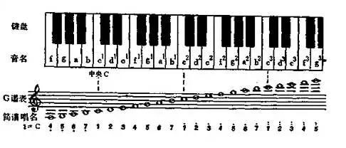 吉他学习先练手指还是拨片,吉他学习先学伴奏还是solo
