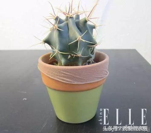 回收废旧裤袜,废旧袜子的回收利用