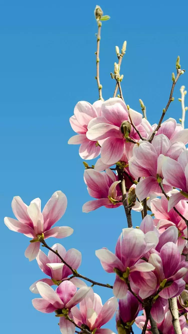 老年人学唱歌的教程,教老年人唱歌第一节课怎么上