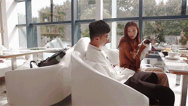 南阳shou家全透明撸猫咖啡馆！有手臂长的牛排！面包届的法拉利！