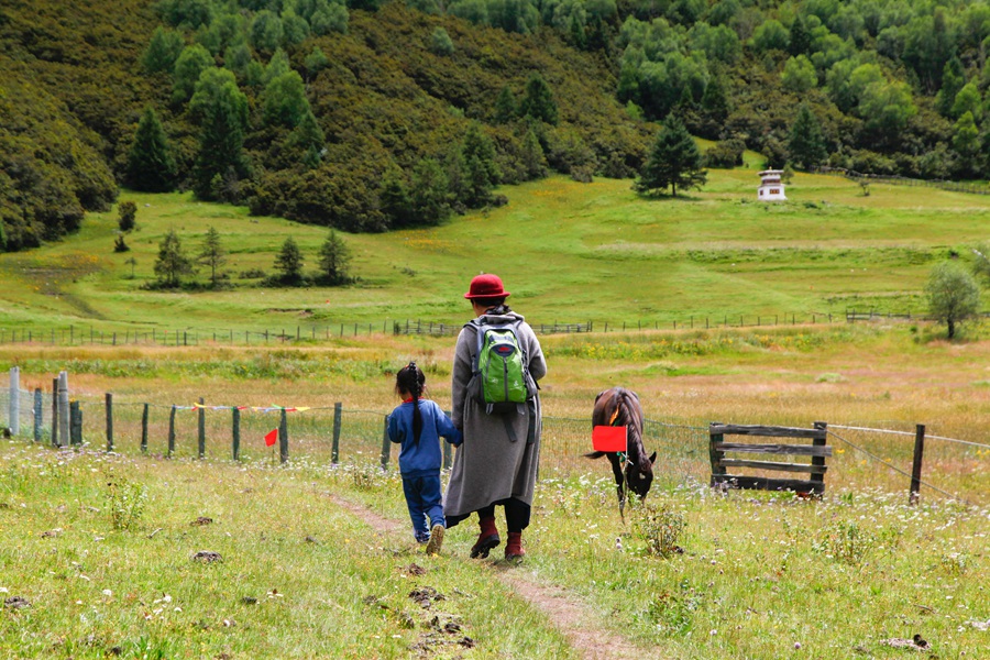 介绍丝绸之路视频,丝绸之路详解
