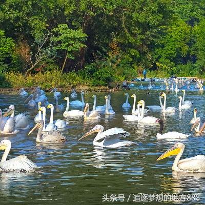 珠海长隆科学酒店攻略,长隆套票二天一晚攻略
