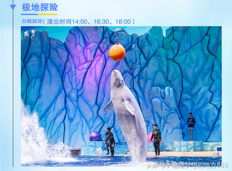 珠海长隆科学酒店攻略,长隆套票二天一晚攻略