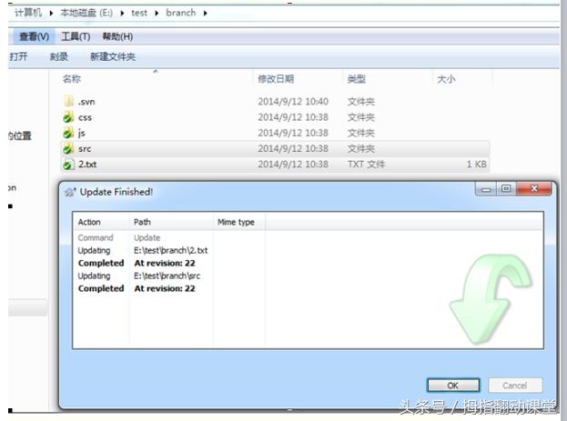 svn使用教程总结,ideasvn使用教程