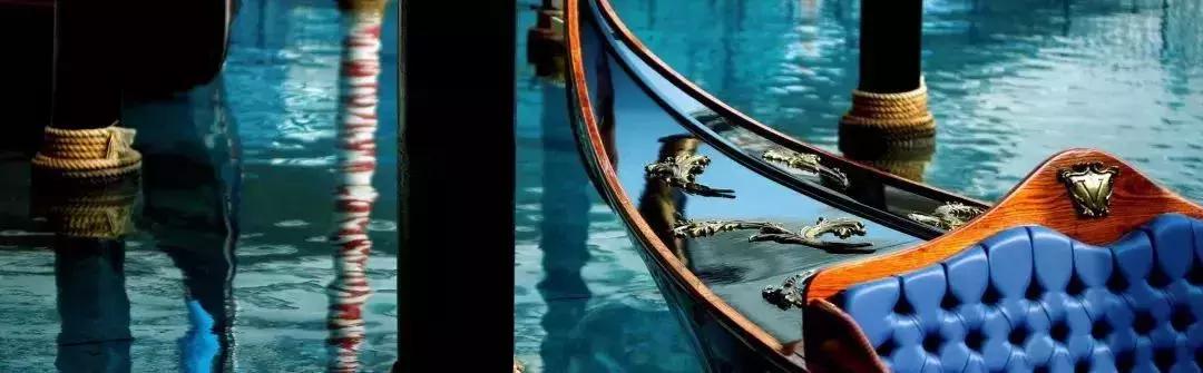 “锦鲤”信小呆的经历,中国锦鲤信小呆环游世界2年归来