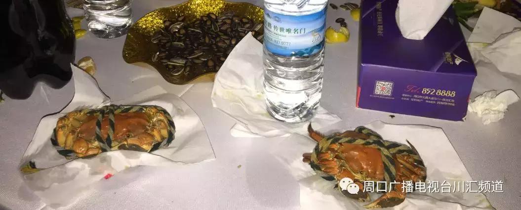 鎰熻阿鏈変綘,鎰熻煿鏈変綘绀肩洅