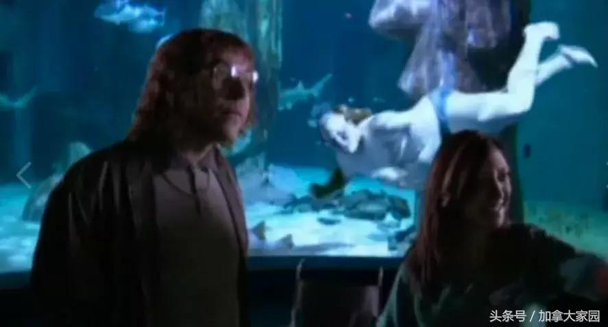 一男子跳进鲨鱼池,美国一男子跳进水族馆鱼缸