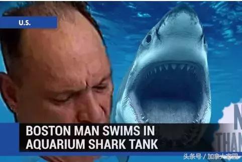 一男子跳进鲨鱼池,美国一男子跳进水族馆鱼缸