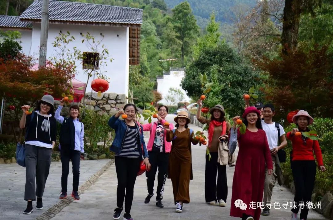 竹海扬波，溪山飞瀑｜心花开放在幽篁里