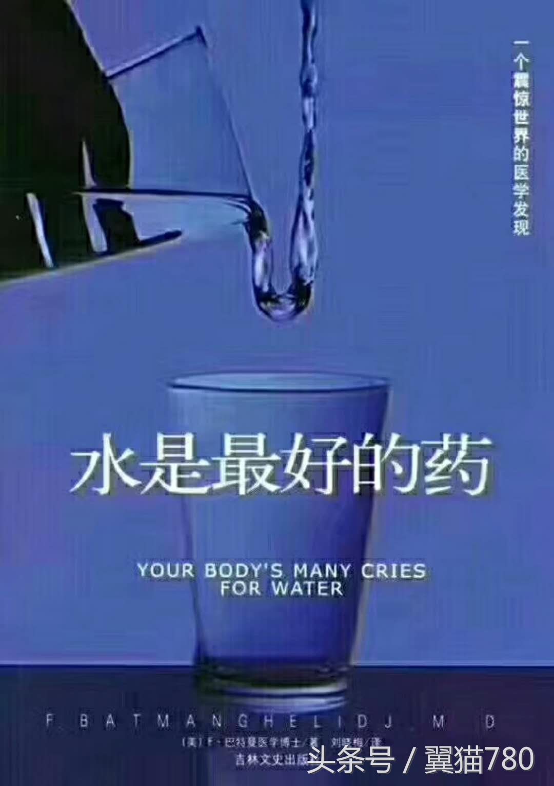 翼猫科技——让人类喝上安全的每一滴水