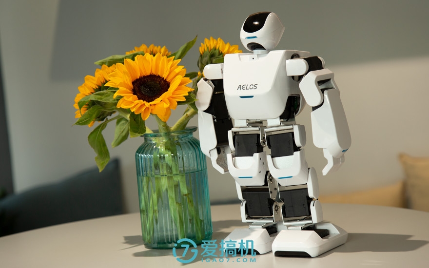 aelos机器人说明书,aelos1s机器人适合上课么