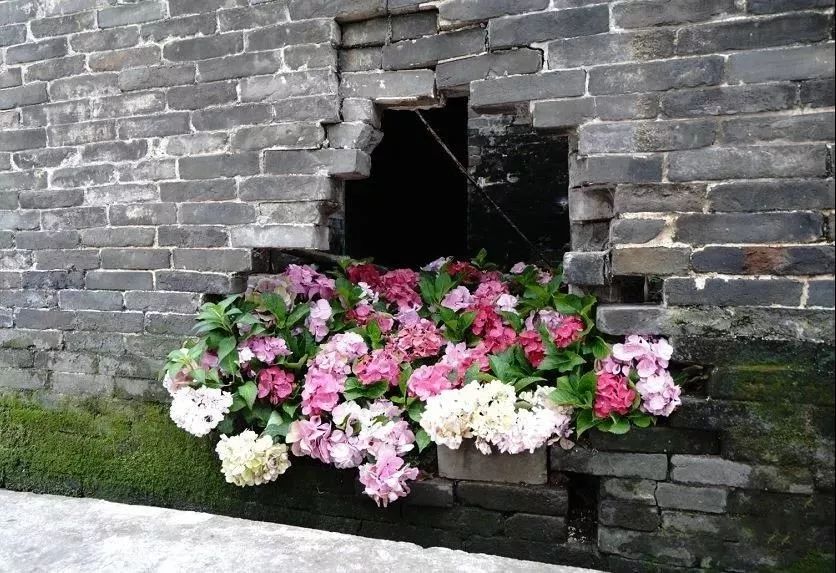 乡村游秋天,乡村旅游探寻真实的乡土风情