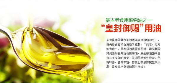 吸收天地之灵气日月之精华的意思,吸收日月之精华天地之灵气下一句