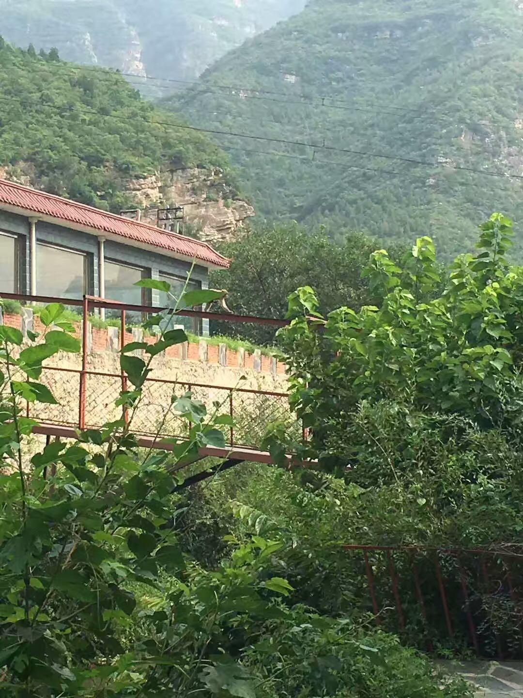 我的故事十大中文金曲,我的故事分享总结