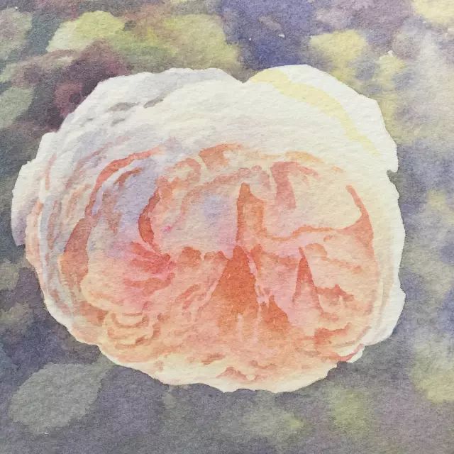 情人节用丙烯画画,情人节教我们画玫瑰