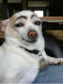 杨幂素颜白到发亮,杨幂素颜打动刘恺威