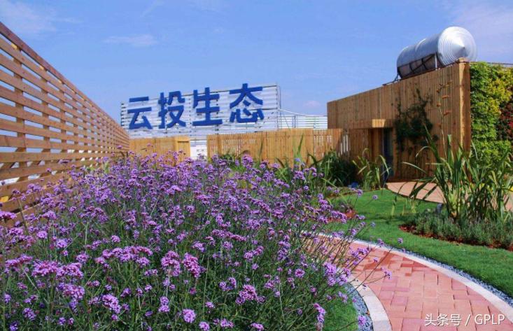 云投公司亏损情况,云投生态为何不注入资产