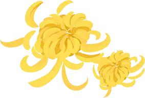 重阳节照顾老人的最佳方法,重阳节为老年人普及养生知识