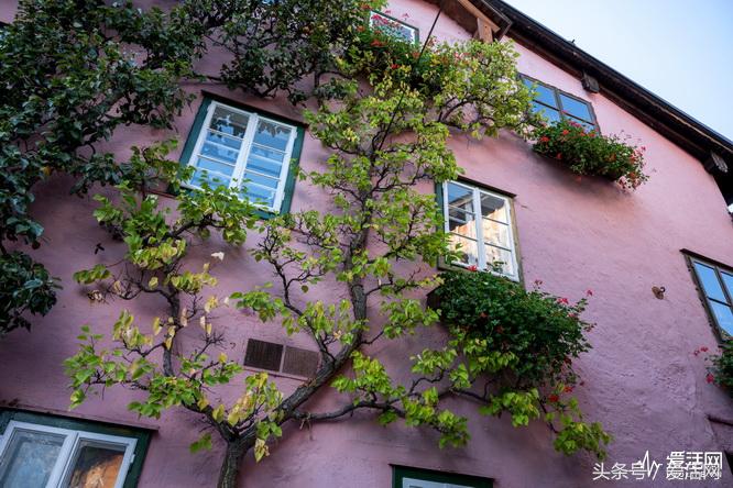 尼康全幅微单z7样张大小一样吗,尼康微单z7的镜头有哪些