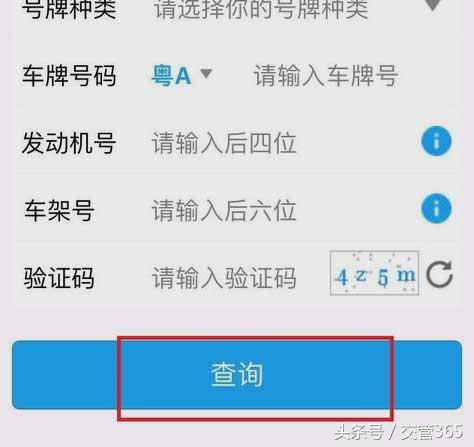 违章怎么查询微信,微信查询违章公众号