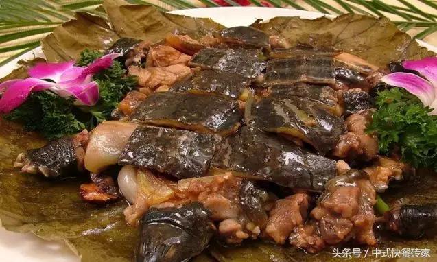 甲鱼特色菜品,每日菜品八道甲鱼做法大全